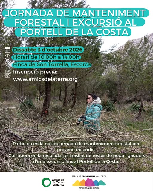 Volontaria che sposta residui di potatura a Son Torrella, con il versante montano sullo sfondo