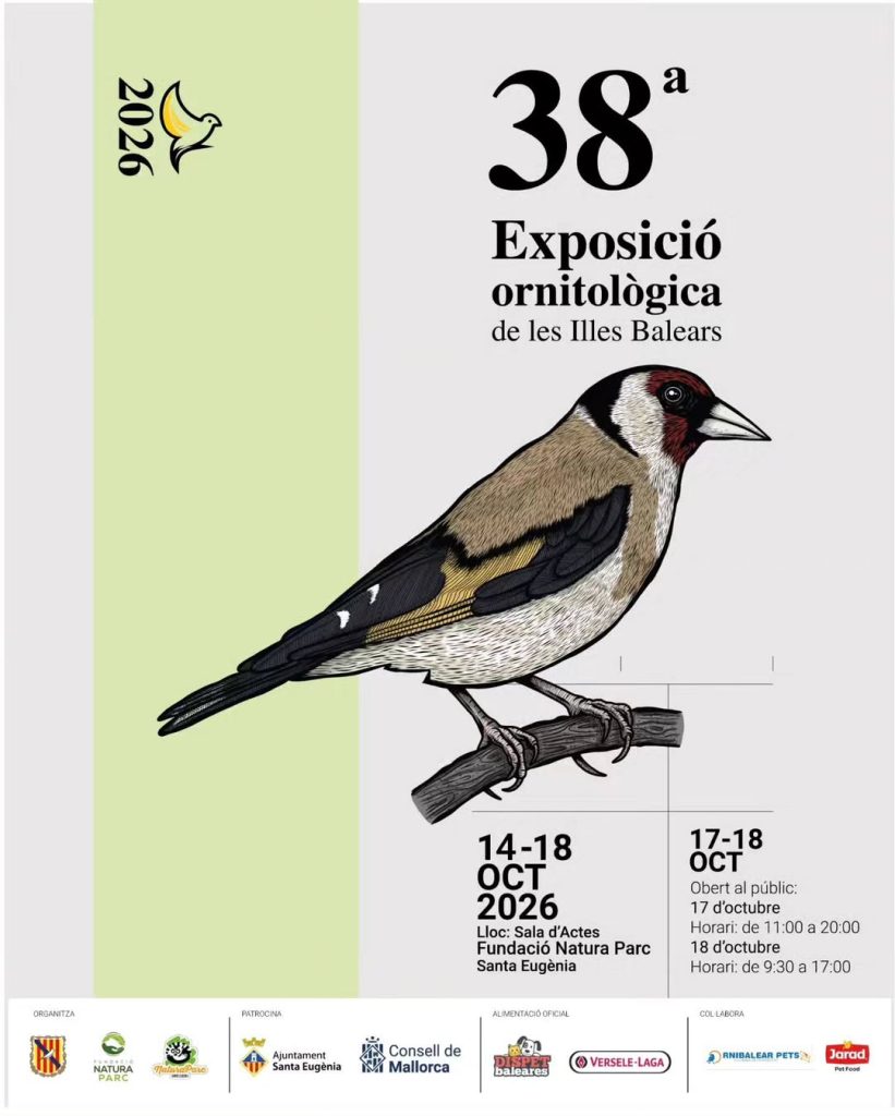 Locandina della 38ª Exposició Ornitològica de les Illes Balears con illustrazione di un cardellino