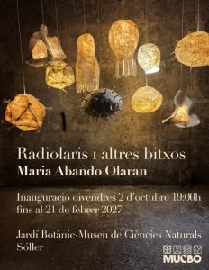 Manifesto della mostra Radiolaris i altres bitxos con sculture di lana illuminate sospese