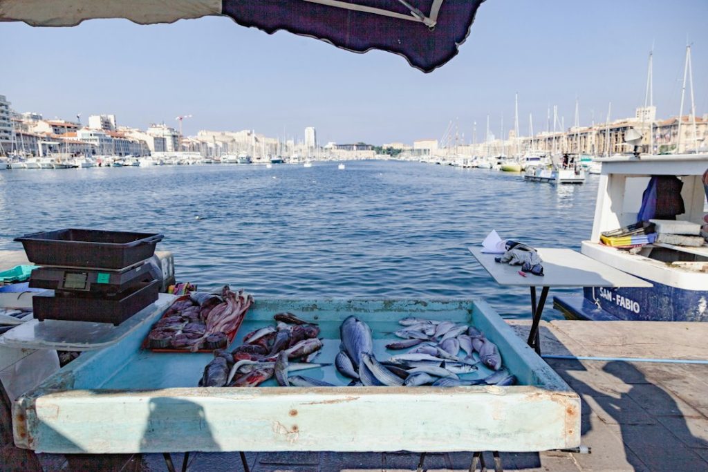 Barca ormeggiata a un molo, immagine di archivio non riferita a questa mostra