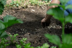 Persona che lavora la terra di un orto, immagine di archivio non riferita a questo laboratorio