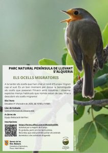 Pettirosso sulla locandina dell'attività Els ocells migradors del Parc Natural de la Península de Llevant